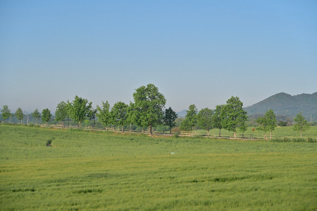 DSC_3978.JPG