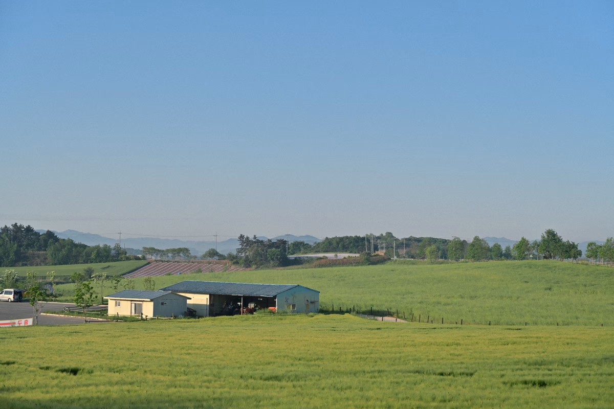DSC_3979.JPG