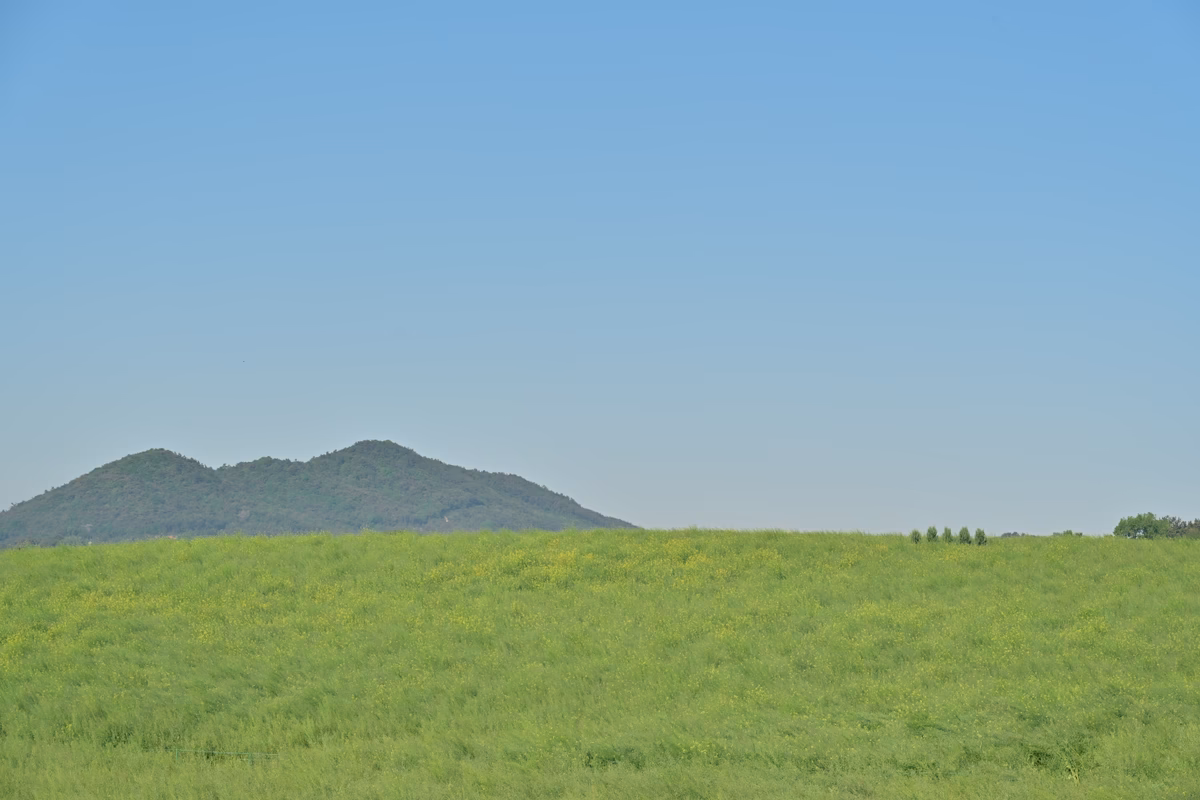 DSC_4012.JPG