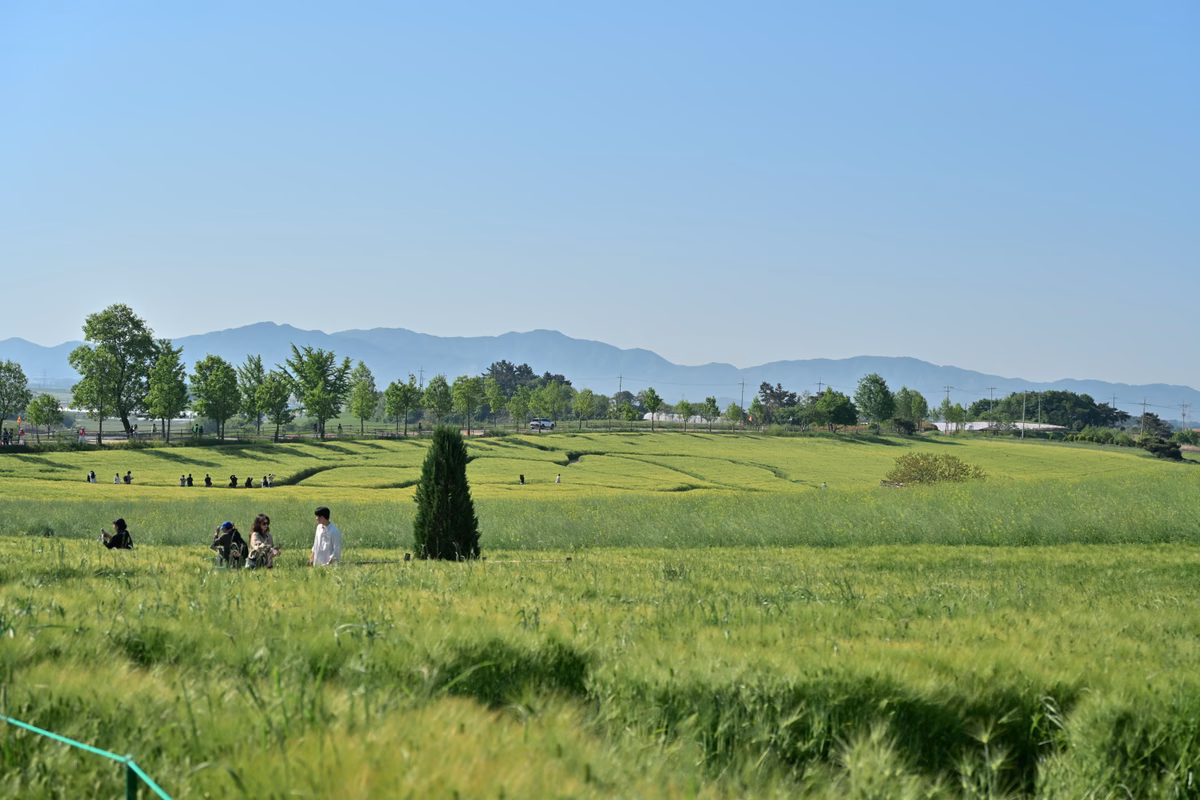 DSC_4026.JPG