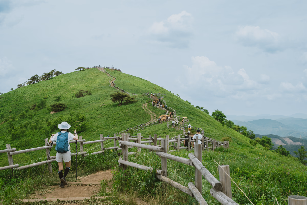 DSC_3619-6.jpg