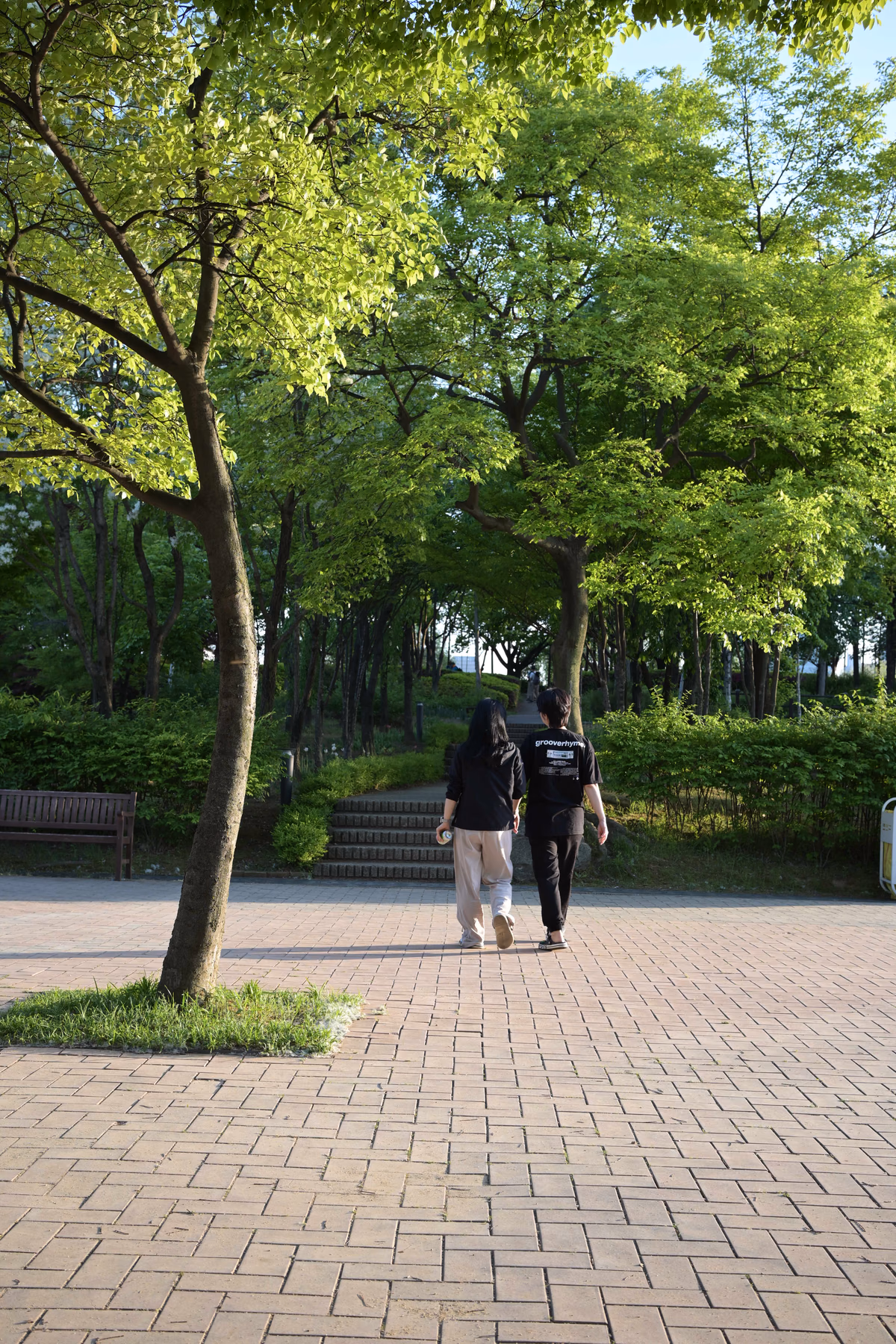 DSC_2492.NEF